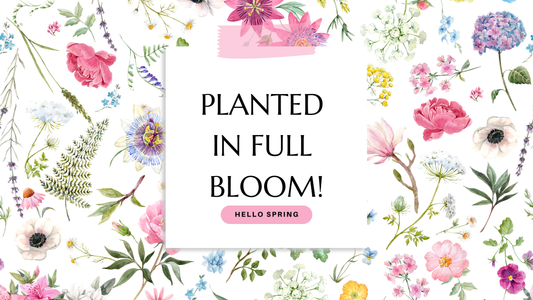 APRIL NEWSLETTER: Planted in Full BLOOM!