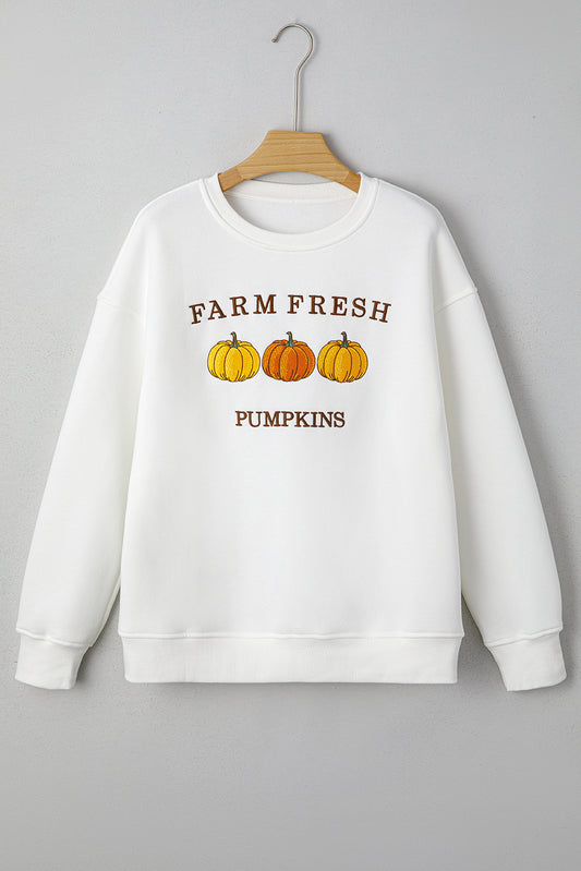 Farm Fresh Pumpkins